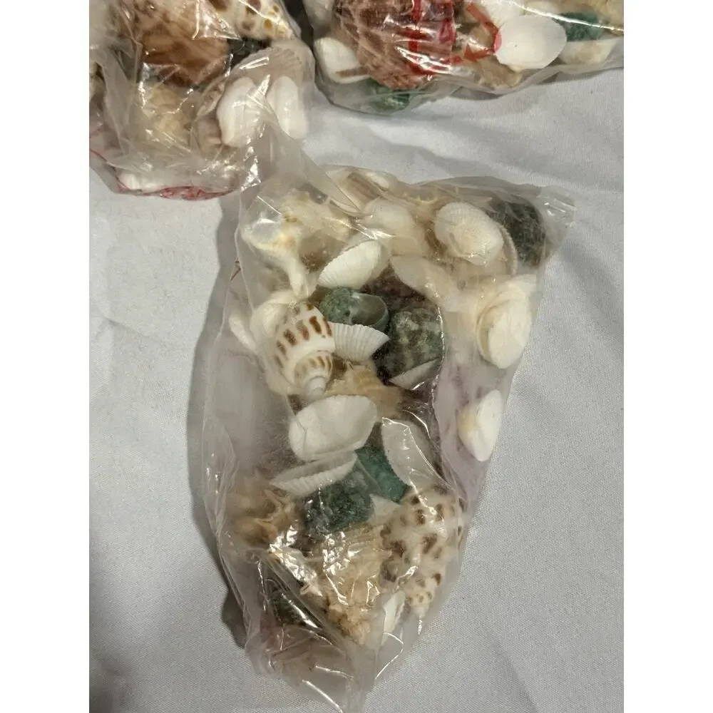 Lot of 4 Bags Assorted Natural Seashells with Cowries, Scallops & Decorative